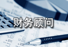财税顾问