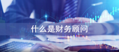 什么是财务顾问